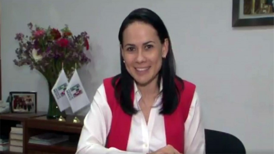 PRI respalda la decisión del TEPJF de retirar spot de Morena por violar la ley