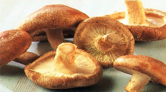 Consumo de hongos reduce riesgo de cáncer de próstata