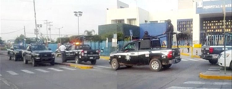 Pelea de gallos en Jerecuaro deja al menos 7 muertos