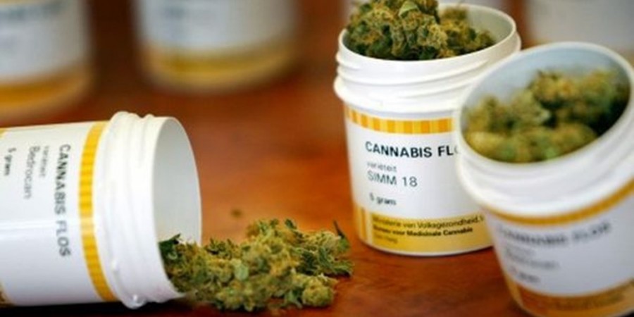 Cannabidiol abrirá su primera oficina en México