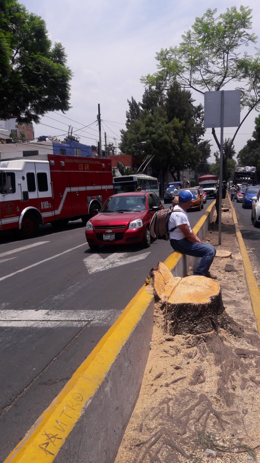 Vecinos impiden tala de árboles en la Línea 7 del Metrobús