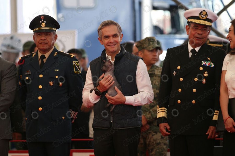 La CdMx con mayor número de animales de compañía