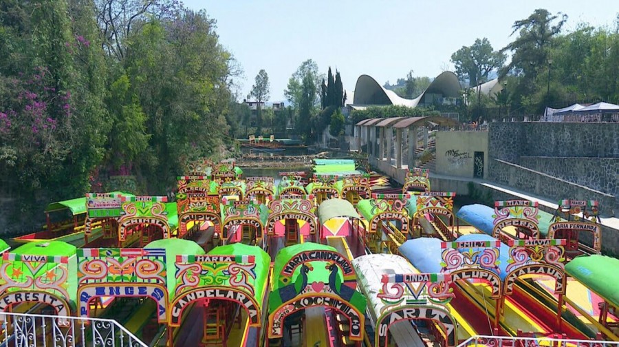 Recuperan canal de Zacapa en Xochimilco