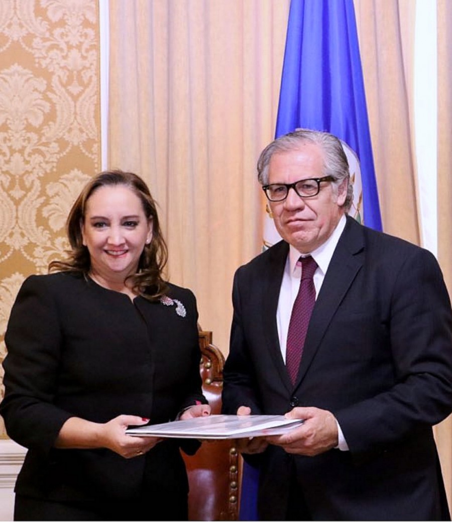 Lleva PRI caso Anaya a la OEA