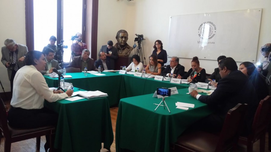 No estamos para improvisar, dice Perla Gómez a diputados al pedir su reelección en la CDHDF