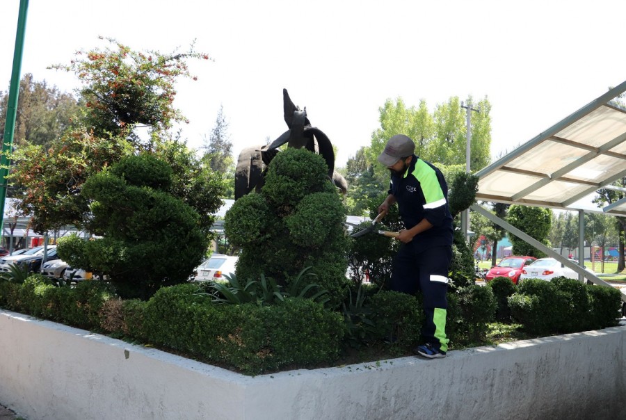 Mejoran áreas verdes de la Central de Abasto CDMX