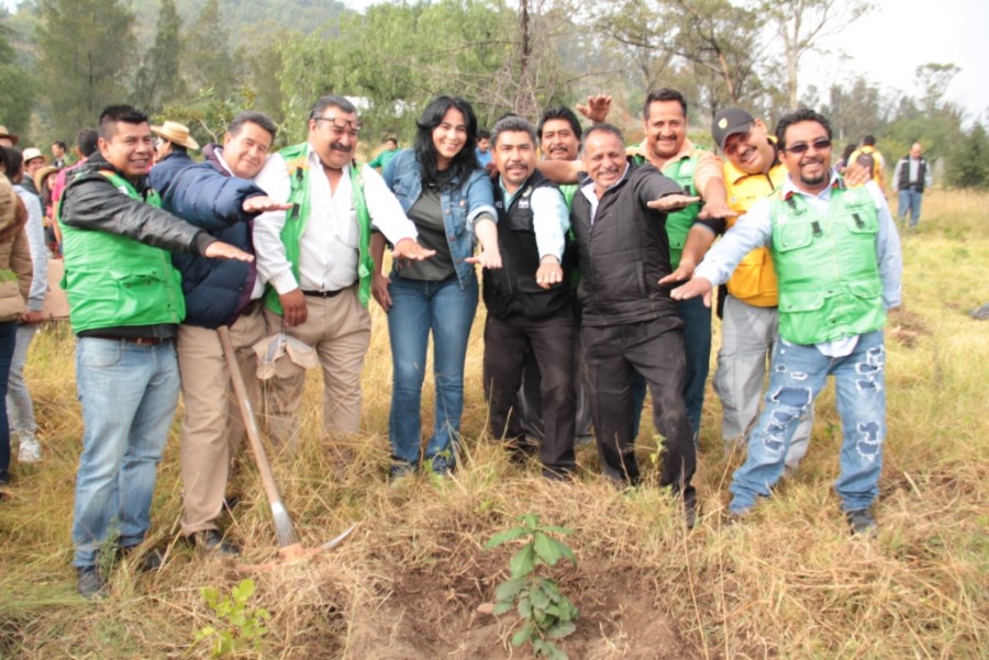 Reforestan Cerro de la Estrella