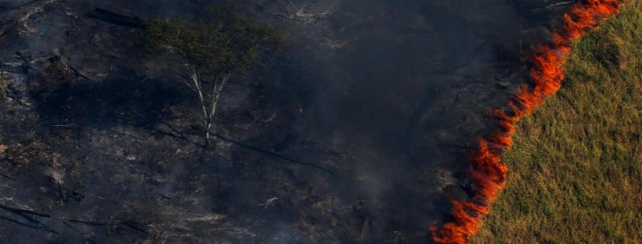 Se viraliza #PrayForAmazonia alrededor del mundo, Jair Bolsonaro no actúa para frenar el fuego