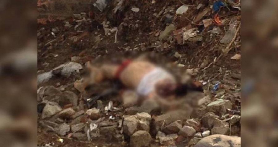 Ex militante del PRD desaparecido es hallado muerto en Puebla