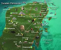 Península de Yucatán debe prevenirse contra Virus Mayaro