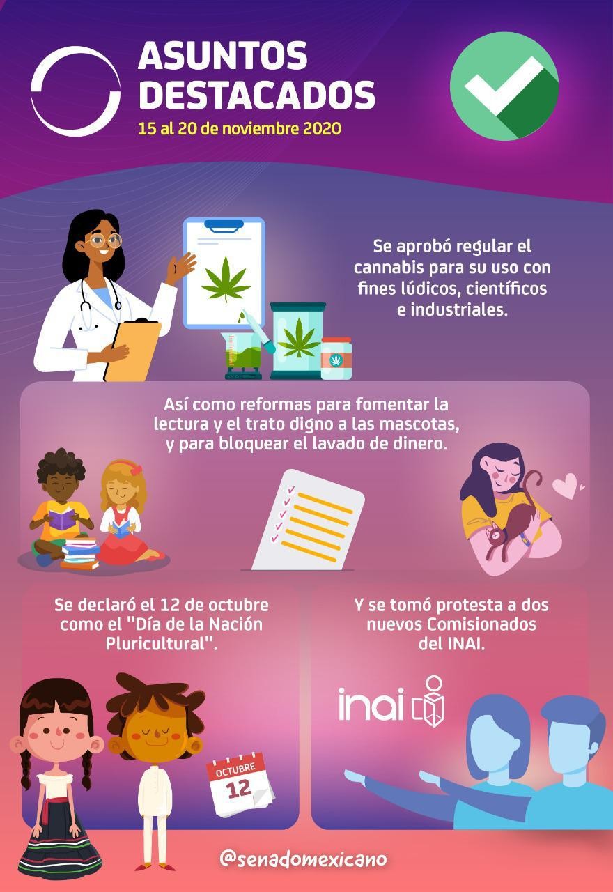 Conoce los asuntos destacados del Senado en la semana del 15 al 20 de noviembre