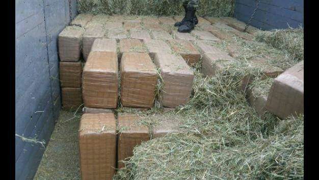 Decomisan más de dos toneladas de mariguana
