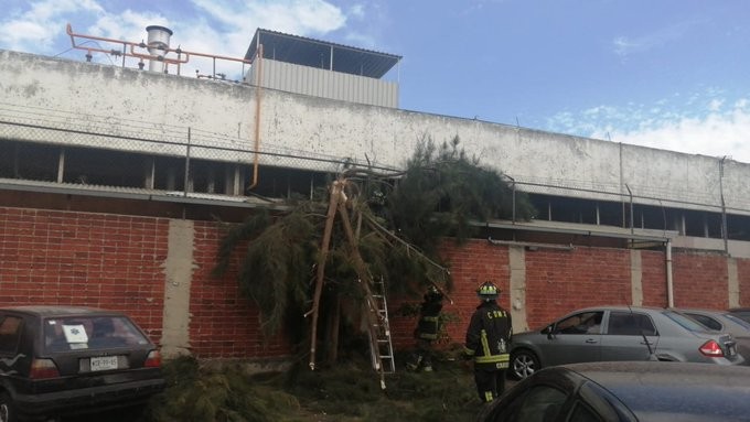 Activan alerta amarilla por vientos en CDMX