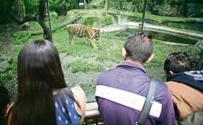 Ex directora del zoológico de Chapultepec propone desaparecer zoológicos urbanos