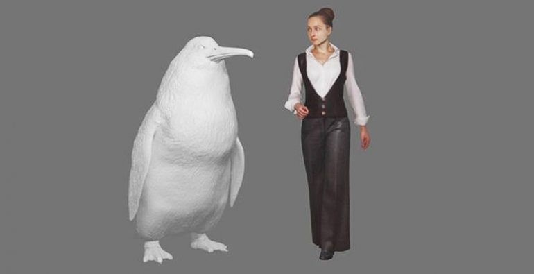 Encuentran restos de pinguino gigante en Nueva Zelanda