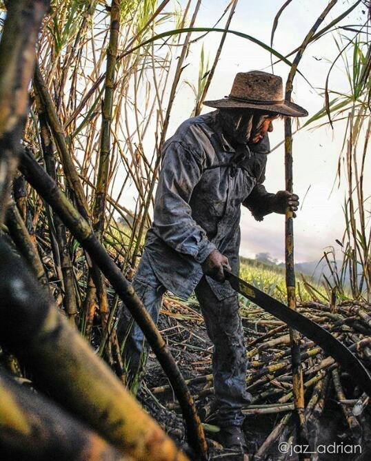 Logra México y EU amargo acuerdo azucarero