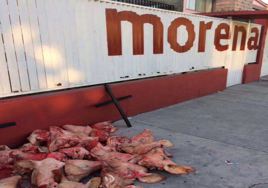 Denuncian amenazas a Morena; dejan cabezas de cerdo en sede de casilla electoral