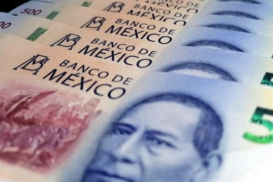 Senado elimina las partidas secretas en el PEF