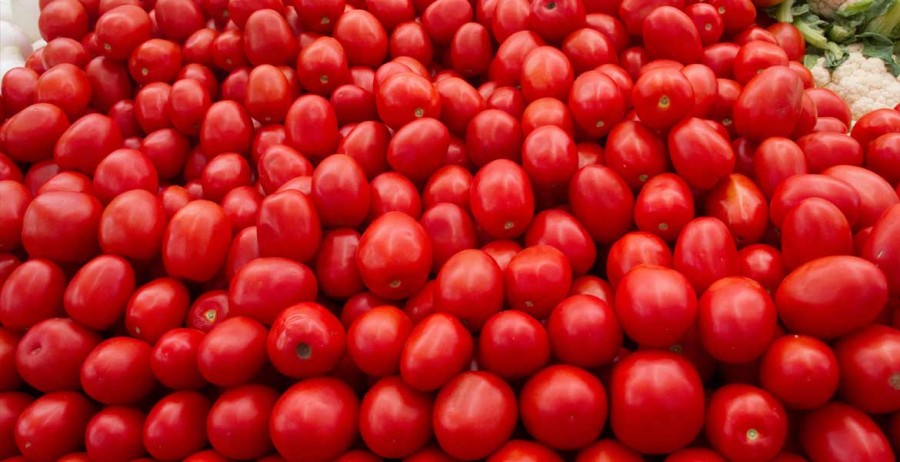 AMLO rechaza imposición de aranceles a tomate mexicano