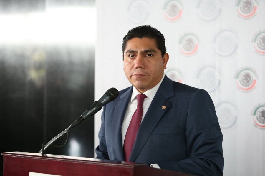 Senador panista propone uso de armas