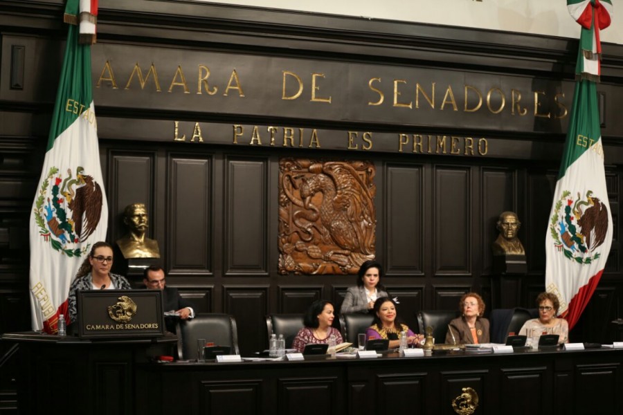 Avanza artículo 14 en Asamblea Constituyente; pendientes temas polémicos como marihuana y renta básica
