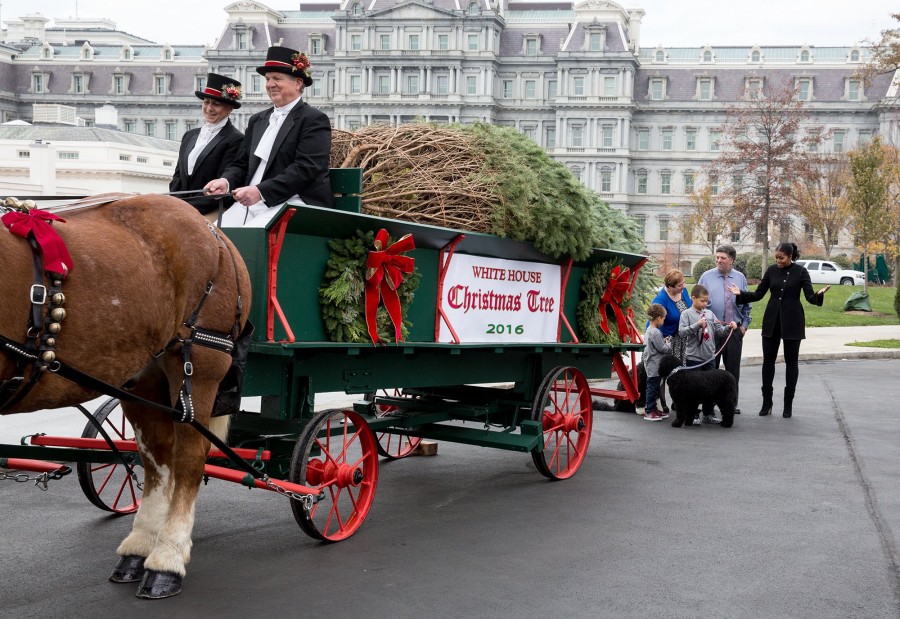 Reciben el árbol navideño en la Casa Blanca