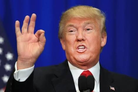 Muro con México no tiene que ser en toda la frontera, dice Trump