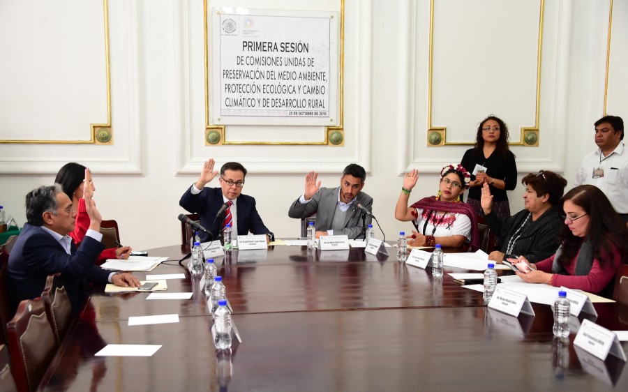 Avalan ley de Huertos Urbanos en ALDF