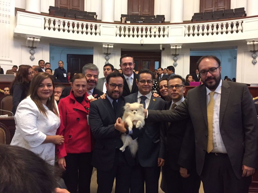 Aprueba ALDF crear el Instituto de AtenciÃ³n Animal