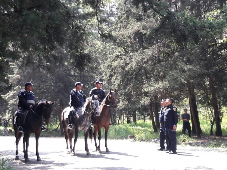 Despliegan operativo permanente tras agresión en Bosque de Tlalpan