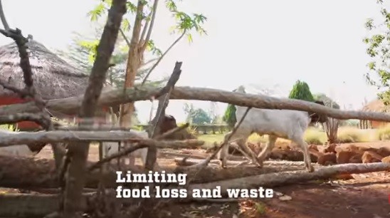 Celebran Día Mundial de la Alimentación