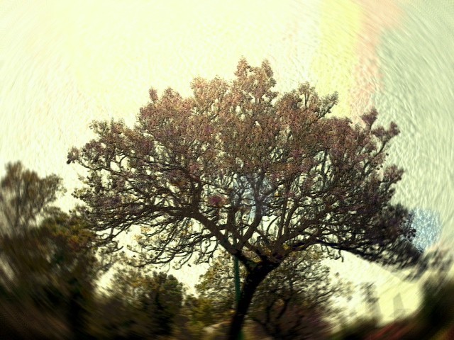 normal/a40d41f3ed684fe00aba6b4d014b6e71.jpg