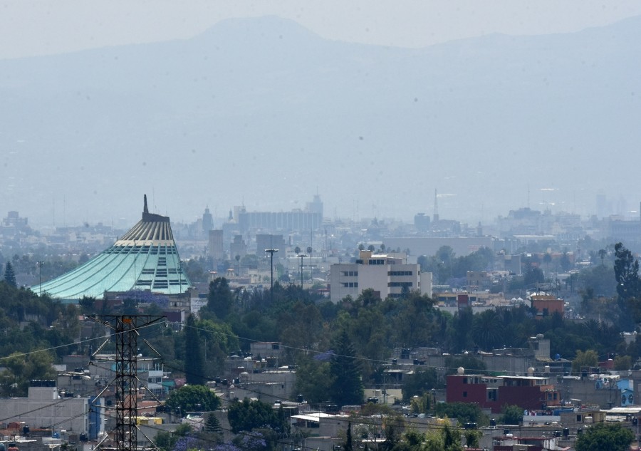 Suspenderán el Hoy No Circula en Nochebuena