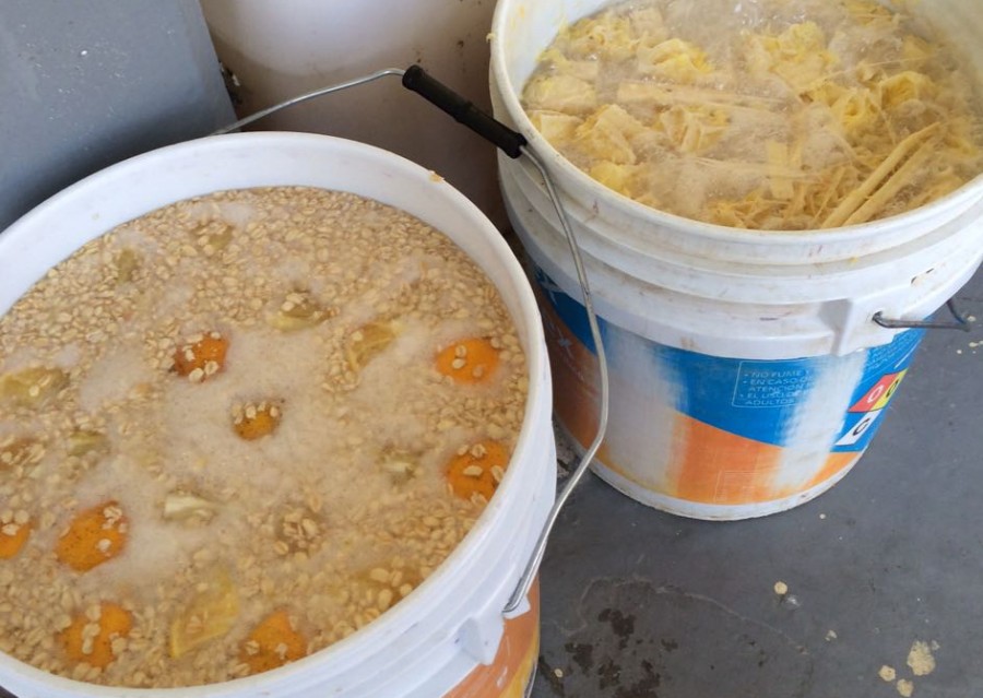 Decomisan mil litros de pulque en Centros Penitenciarios de CDMX