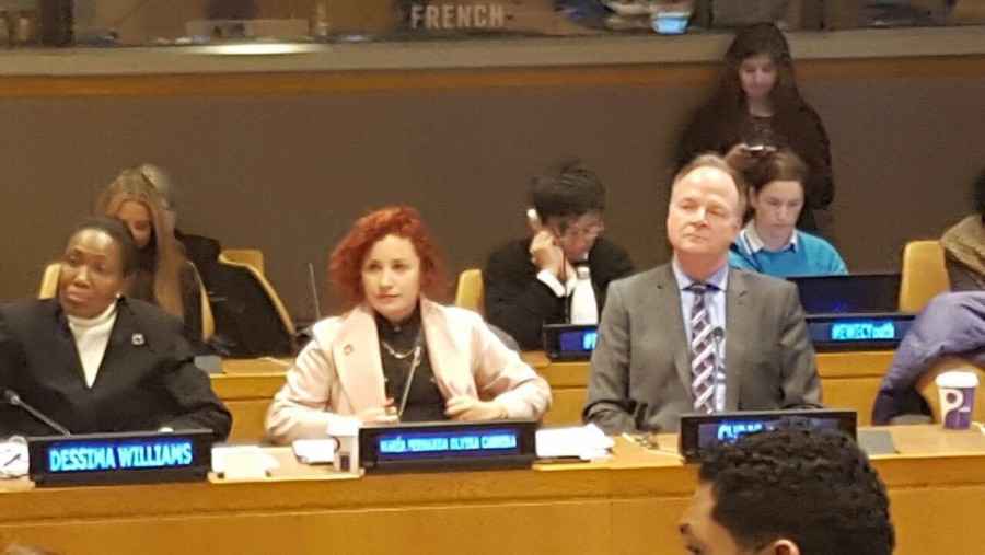 Participa el Injuve en el foro juventud 2017 Ecosoc