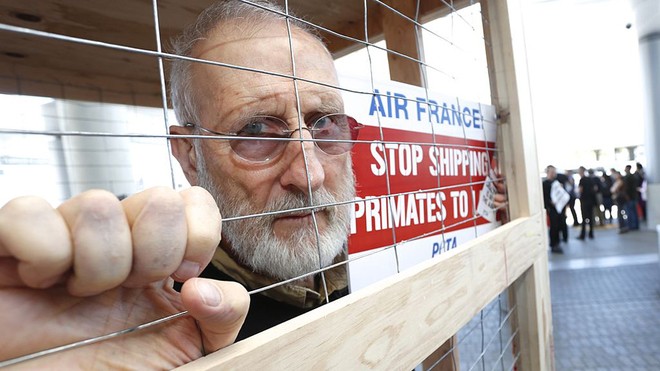 Detienen al actor James Cromwell tras protesta contra experimentos con perros