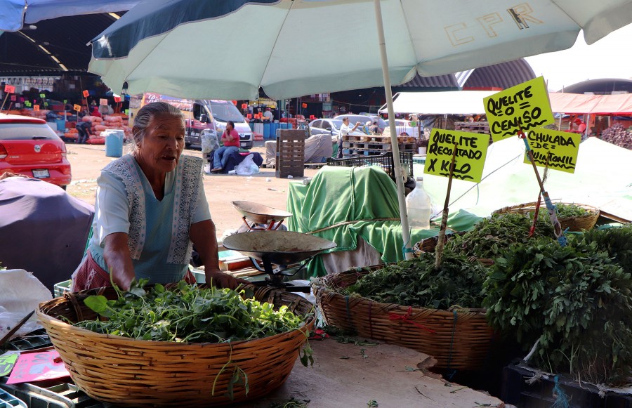 Central de Abasto ofrece productos de calidad mundial