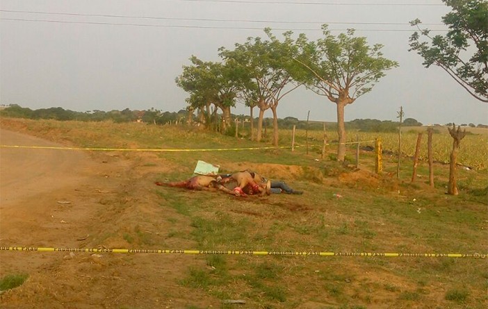 Encuentran cinco cadaveres y narco mensaje en Veracruz