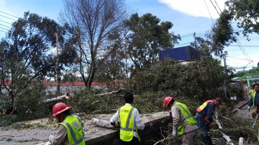 Se registran diversos incidentes al sur de la CDMX por fuertes vientos