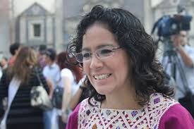 Proyecto de ConstituciÃ³n, garantiza los derechos de los habitantes: Lolkin