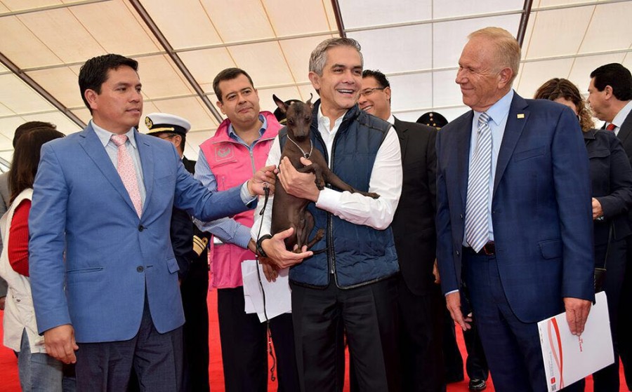 Reconoce CdMx derechos jurÃ­dicos de animales