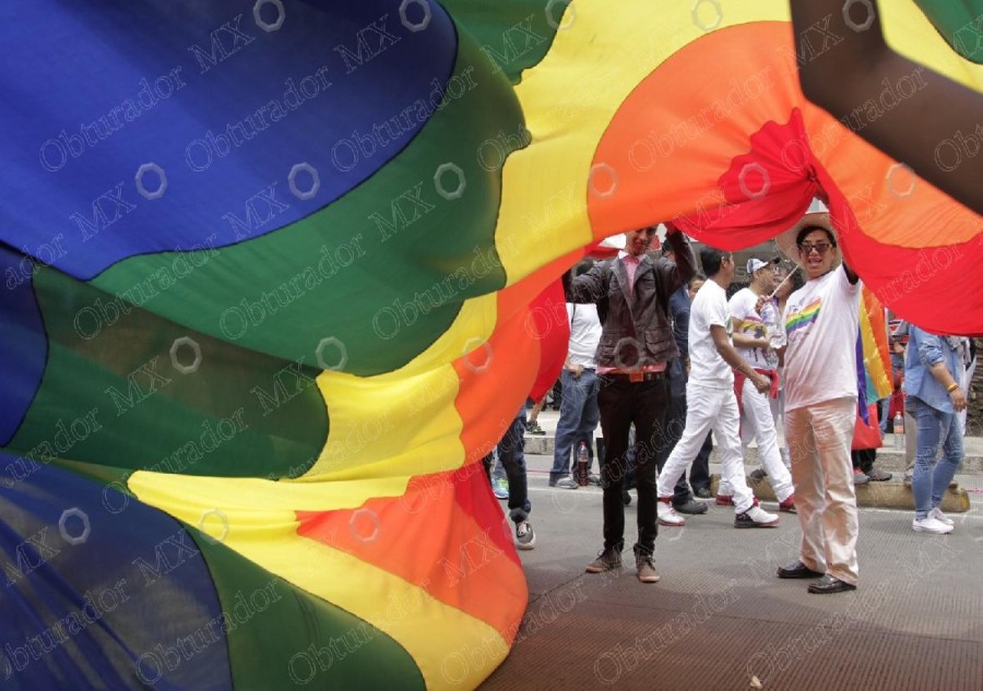 Busca Constitución proteger derechos de comunidad LGBTTTI