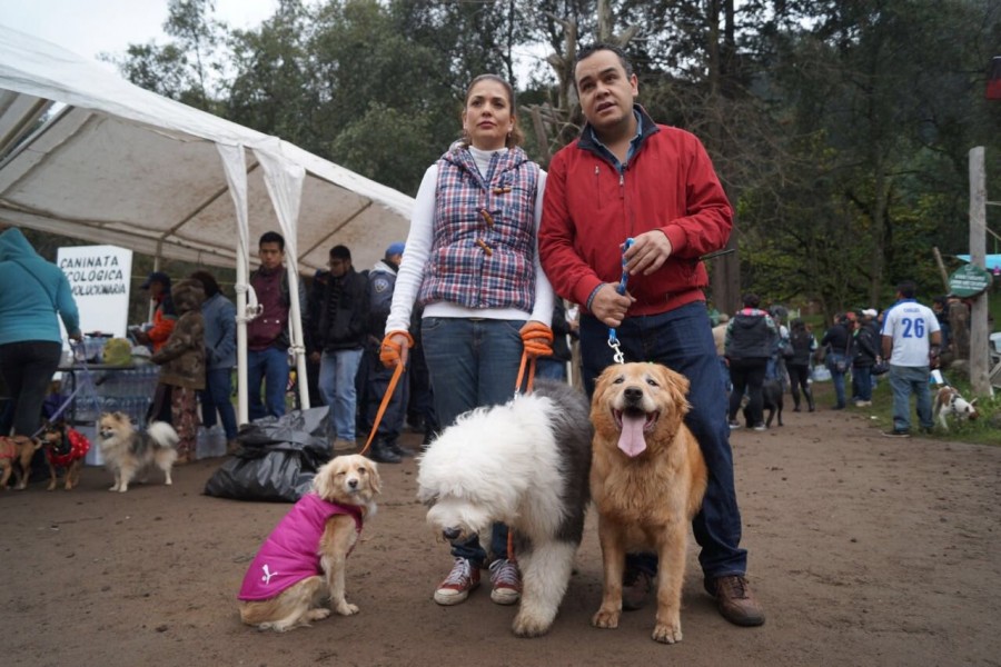 Realizan caminata pro animales en La Magdalena Contreras