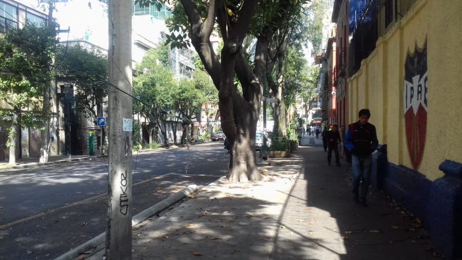 Cableado averiado afecta a vecinos de la Roma Norte II