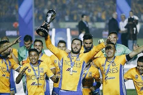 Exigen aficionados de los Tigres, regresar a la Libertadores