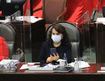 Acusan a Ricardo Monreal y a Néstor Núñez de campaña negra contra Dolores Padierna