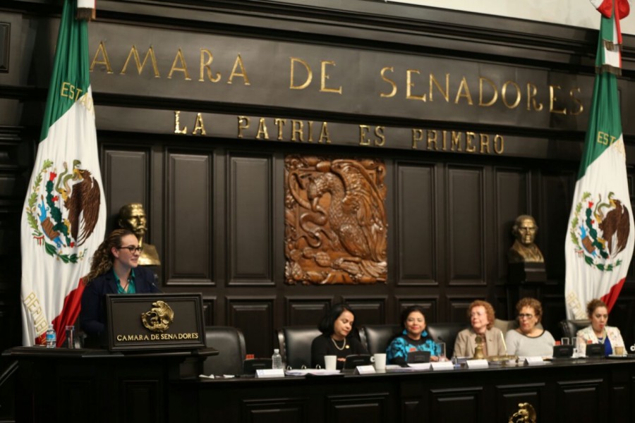 Se ha aprobado la columna vertebral de la Constitución de la CDMX