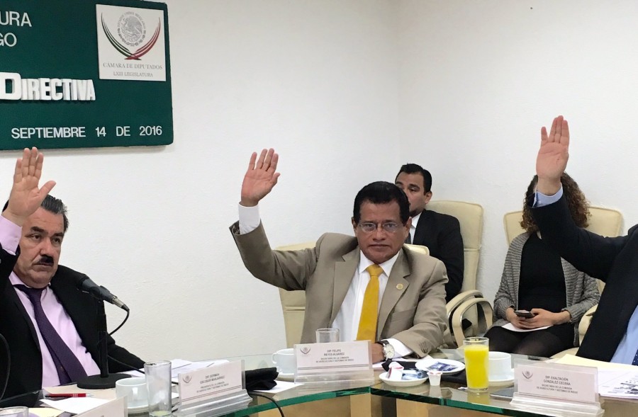 Proponen sea de Seguridad Nacional la provisiÃ³n, sanidad y calidad de los alimentos del agro.