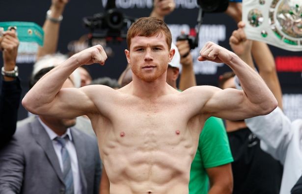 Noquea Canelo y se corona campeón