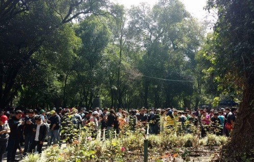 Caminata pokemon en la CdMx